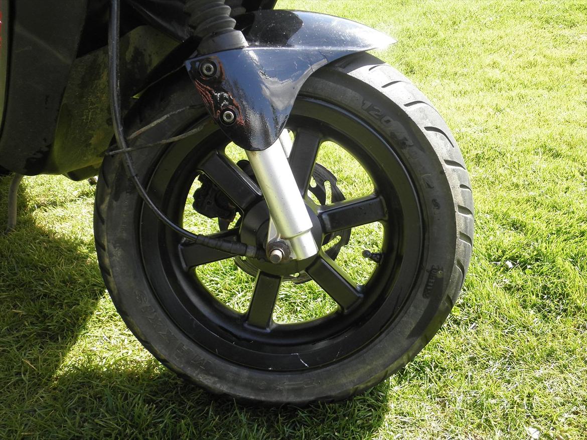 PGO Hot 50 billede 7