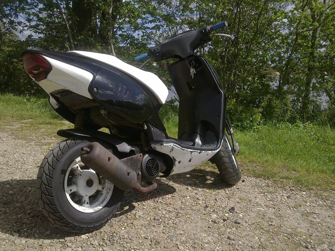 Aprilia Rally - Røv billede 6