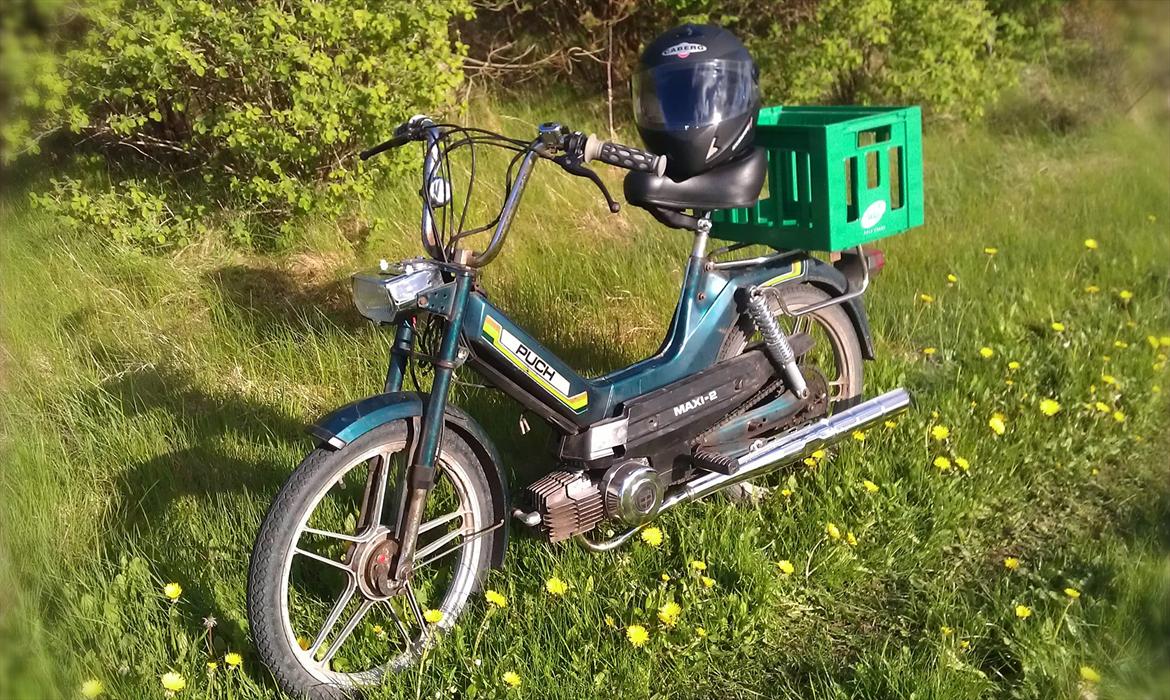 Puch Maxi 2 Gear "Den Grønne Frækkert" - Så er Frækkerten klar til sommeren ;) billede 1