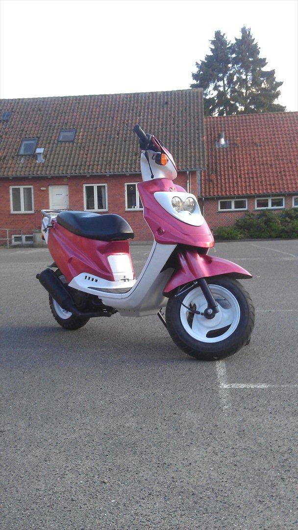 PGO Hot 50 (Hotmissen Solgt) billede 4