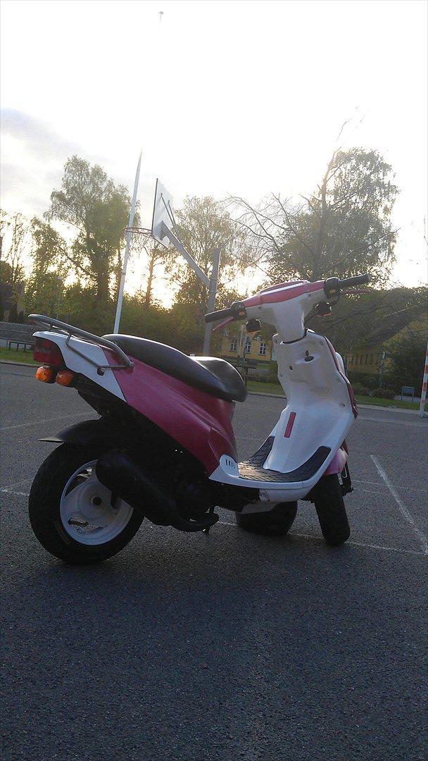 PGO Hot 50 (Hotmissen Solgt) billede 5