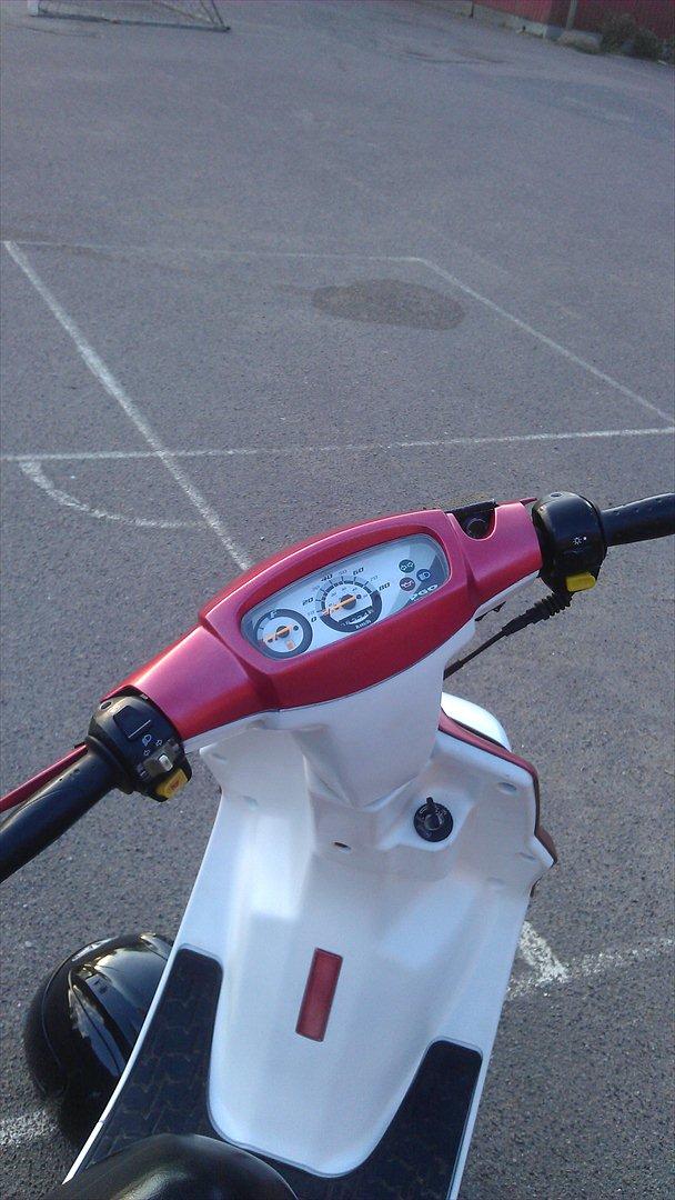 PGO Hot 50 (Hotmissen Solgt) billede 8