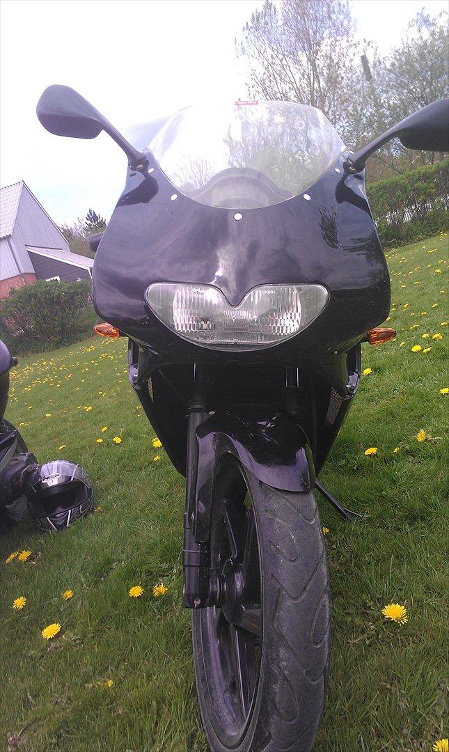 Aprilia RS 50 billede 1