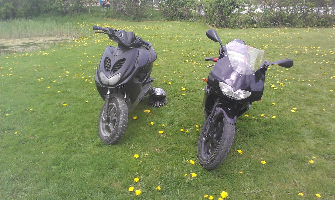 Aprilia RS 50 billede 2