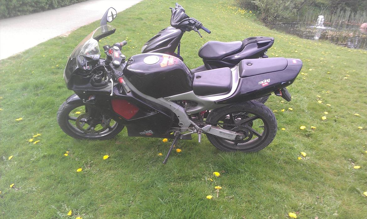 Aprilia RS 50 billede 3