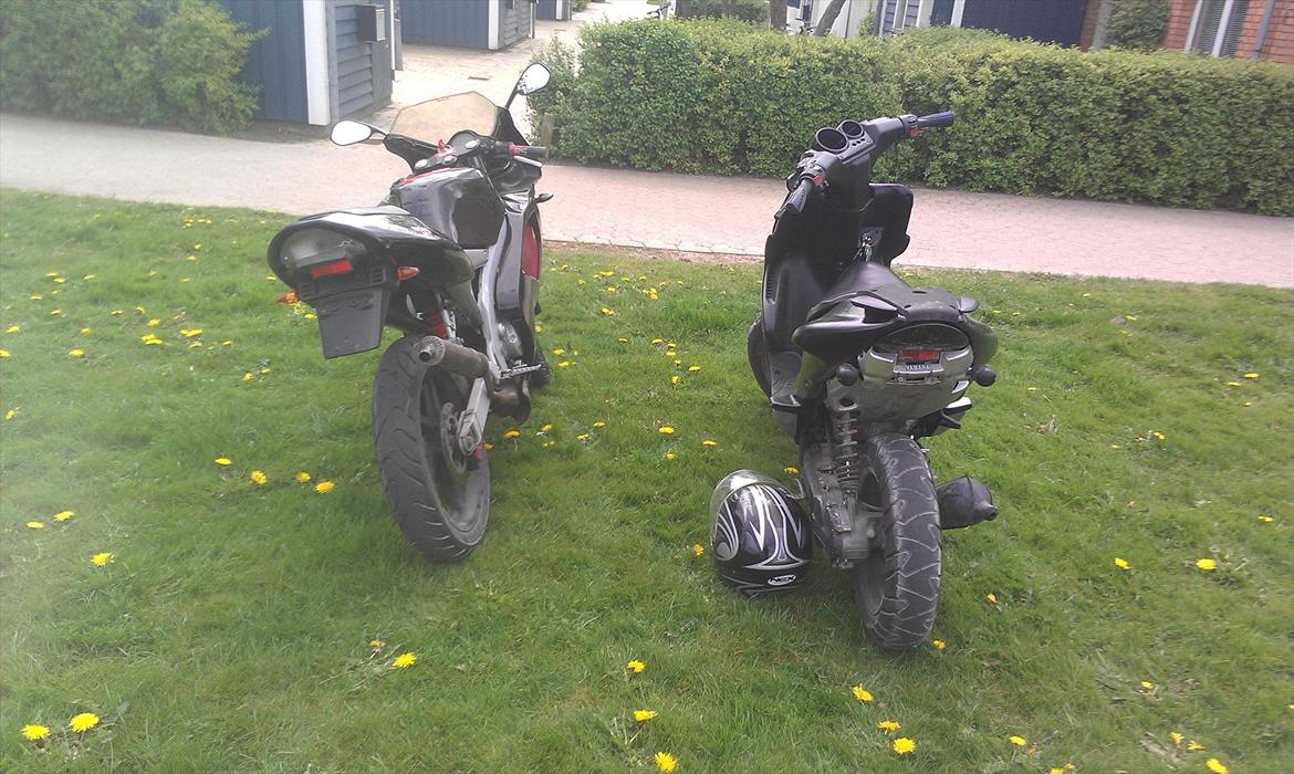 Aprilia RS 50 billede 4