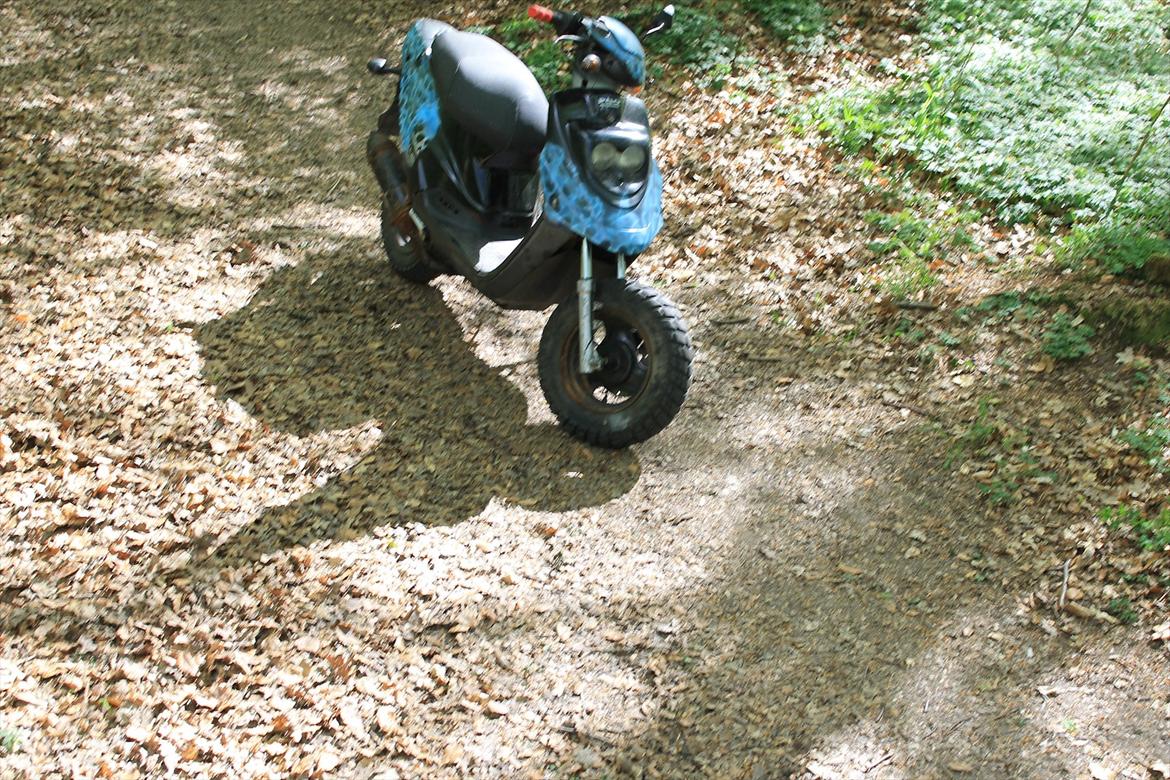 PGO Hot 50 Airbrush billede 13