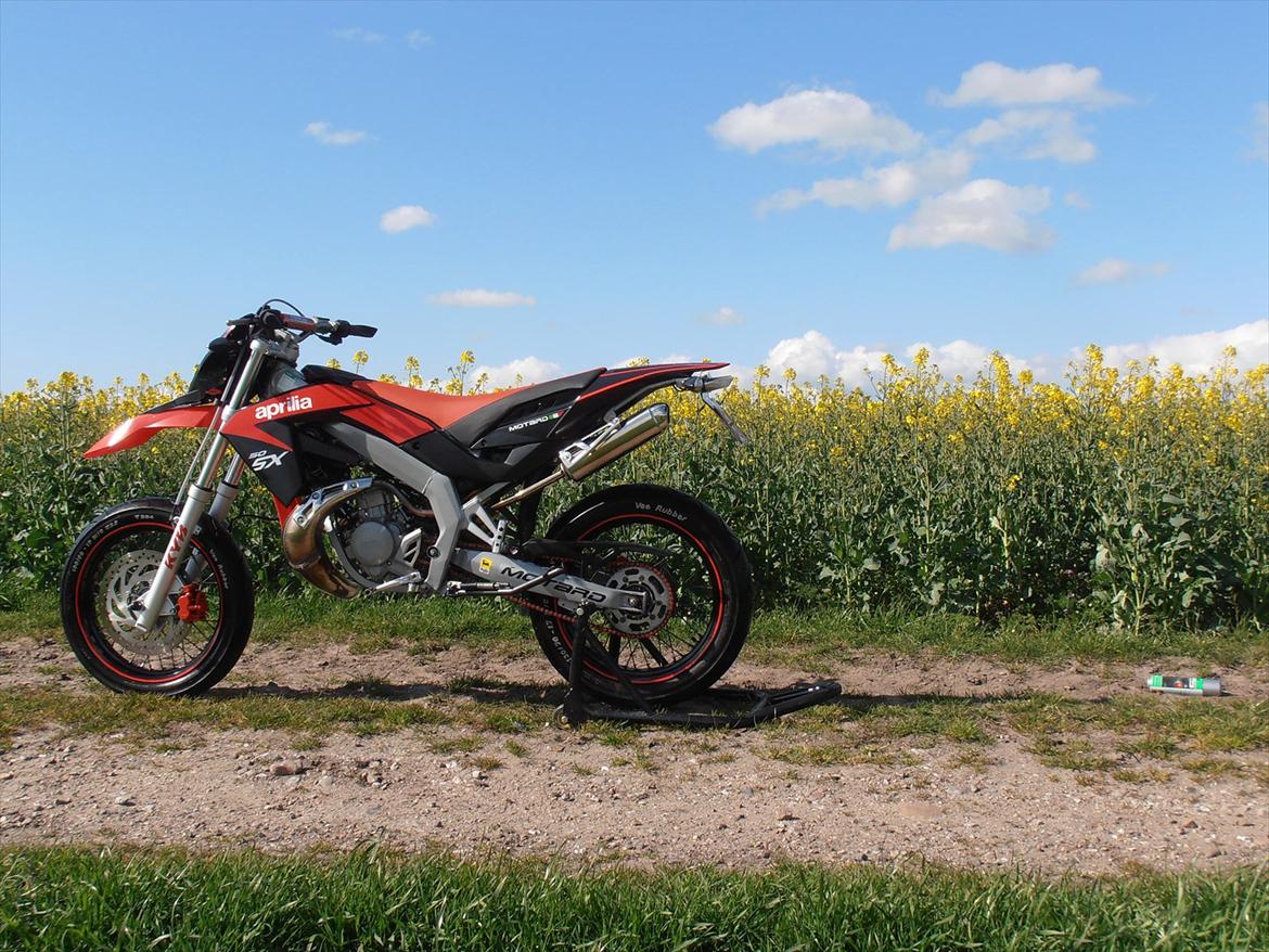 Aprilia SX 50 billede 12