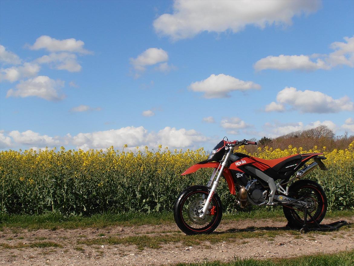 Aprilia SX 50 - Flot dag! billede 13