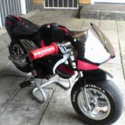 MiniBike halvkåbe 47cc Solgt!
