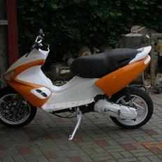 Benelli 491 SR SOLGT