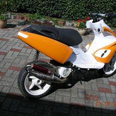 Benelli 491 SR SOLGT