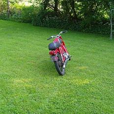 Honda CD50