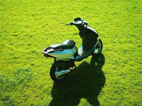 PGO Dr. big solgt  billede 13