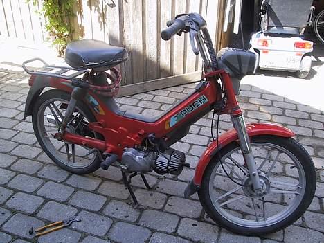 Puch Maxi PL1 billede 4