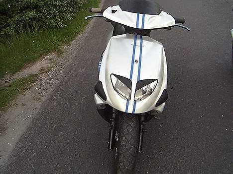 PGO Dr. big solgt  billede 17