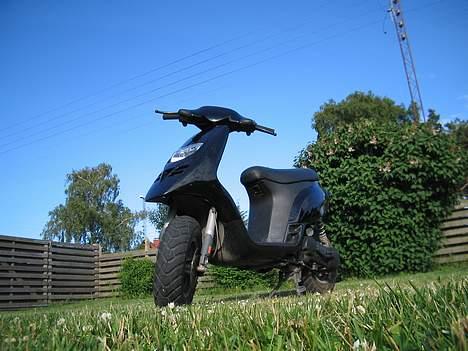 Piaggio typhoon projekt billede 1