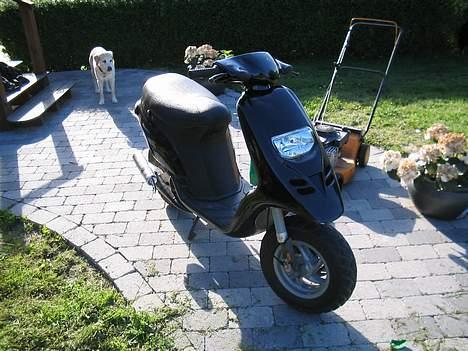 Piaggio typhoon projekt billede 2