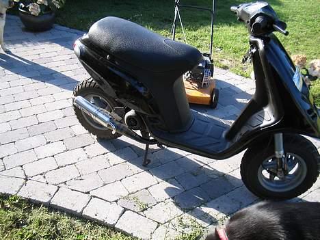 Piaggio typhoon projekt billede 3