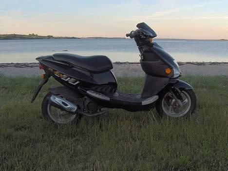 PGO DR. BIG billede 1