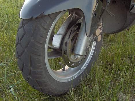 PGO DR. BIG billede 4