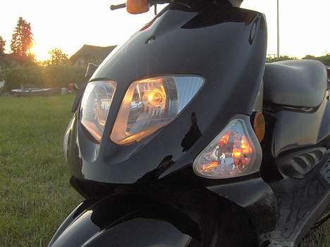 PGO DR. BIG billede 5