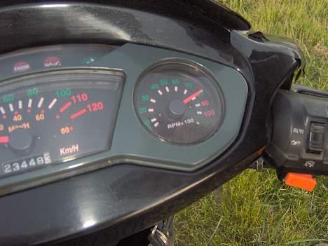 PGO DR. BIG billede 7