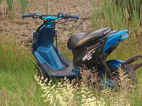 PGO Hot 50 (solgt) billede 3