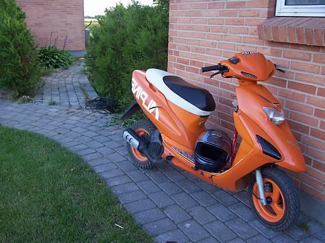 Honda sfx"det orange lyn" - Hondaen! den dejlige maskine billede 1