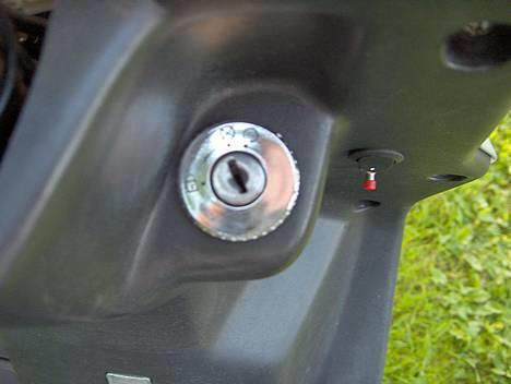 CPI Popcorn >> STS << @C billede 18