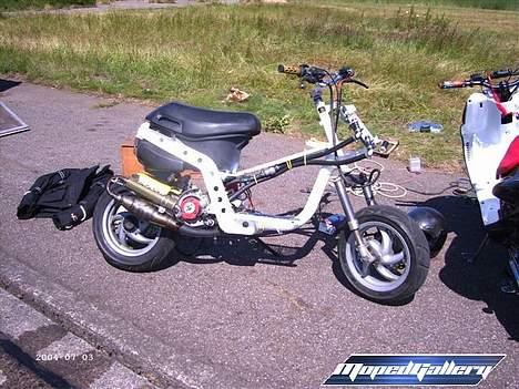 Piaggio Zip Lc (SOLGT) billede 16