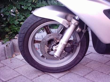 Benelli 491GT • MHR @ Solgt • billede 5