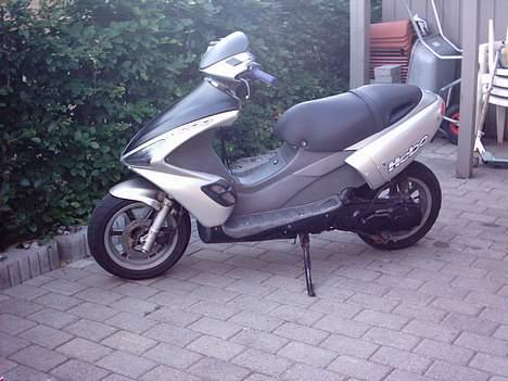 Benelli 491GT • MHR @ Solgt • billede 13