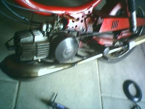 Puch maxi mini  billede 6