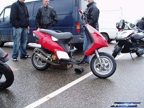 Aprilia       Byttet med ZipZilla - Jim´s NRG, den var også godt vild. (Kolding træf) billede 19