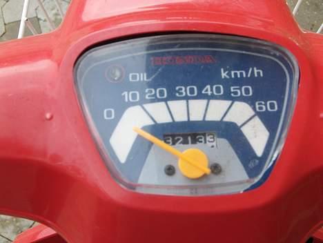 Honda Melody billede 4