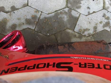 Honda Melody - >>>>>>>>>> billede 6