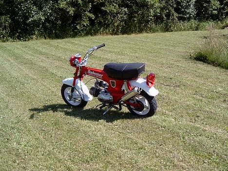 Honda Dax Budweiser billede 7