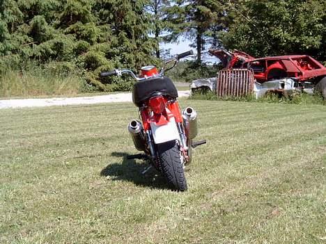 Honda Dax Budweiser billede 8