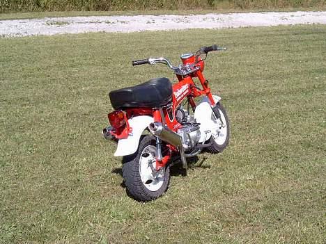 Honda Dax Budweiser billede 9