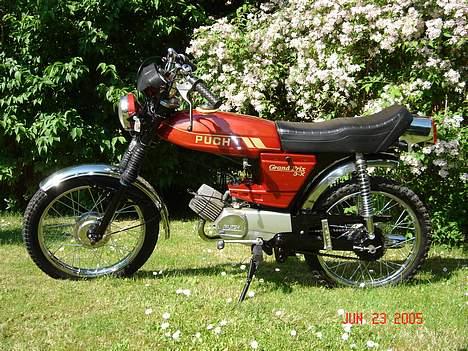 Puch Monza/Gp  billede 7