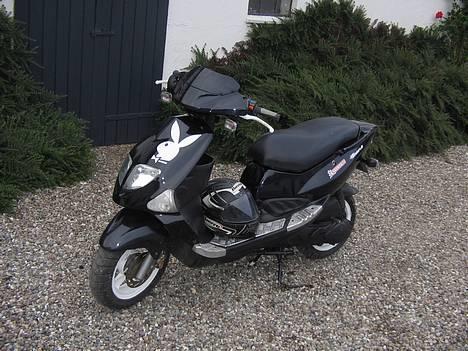 PGO Dr. Big  - solgt - Sat ny alu fodplade på billede 1