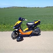 Aprilia SR50 DiTech LC DD