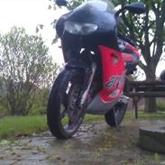 Aprilia RS 50