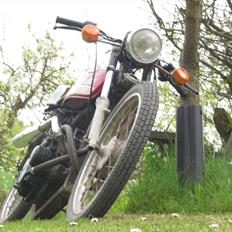 Suzuki DM 50 80cc LC!