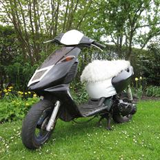 Aprilia sonic