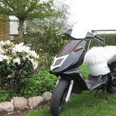 Aprilia sonic