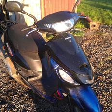 Giantco Sprint Sport