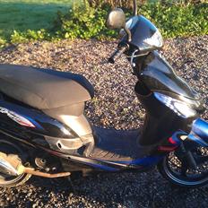 Giantco Sprint Sport