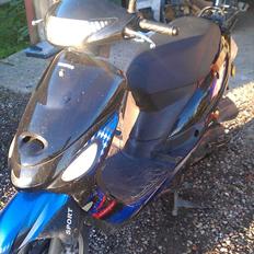 Giantco Sprint Sport